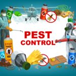 Home remedies for Pest Control