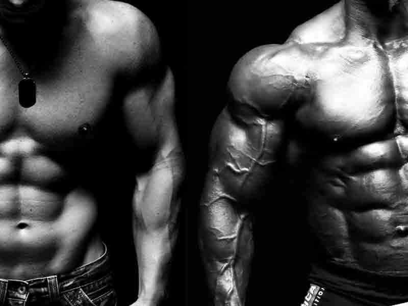 bulk muscle vs lean muscle