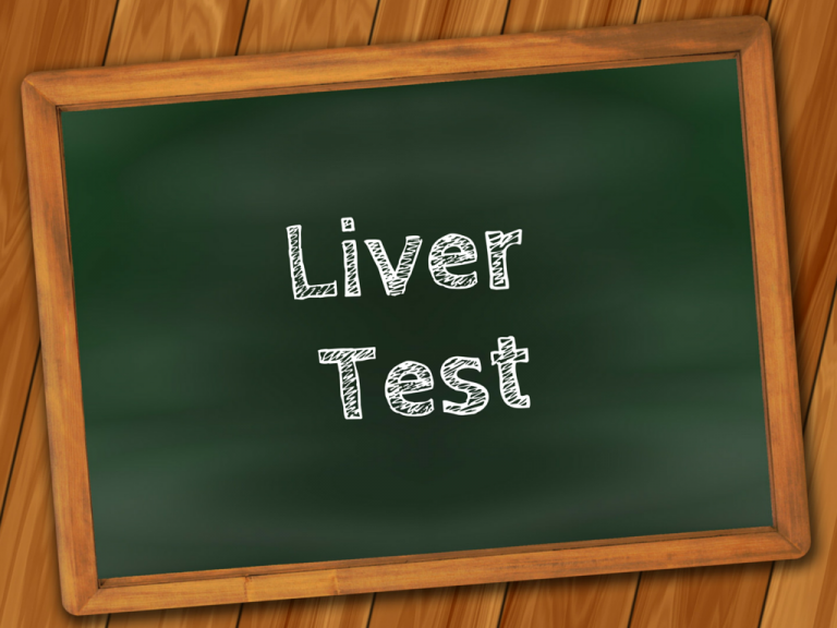 An Overview Of Liver Function Test - Medy Life