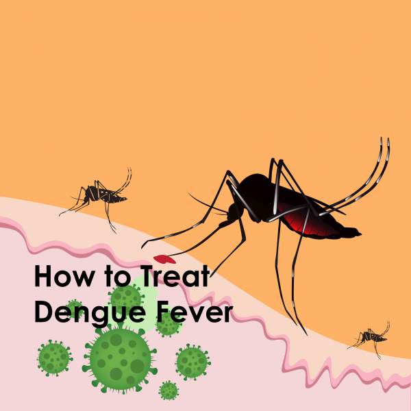 How to Treat Dengue Fever? Tips and Tricks ! - Medy Life