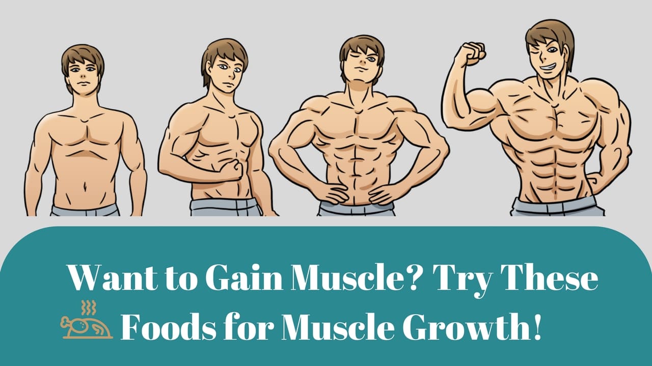 Want to Gain Muscle? Try These Foods for Muscle Growth! - Medy Life