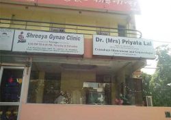 Dr Priyata Lal C-63, Preet Vihar, Vikas Marg, New Delhi 110092