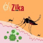 Zika virus