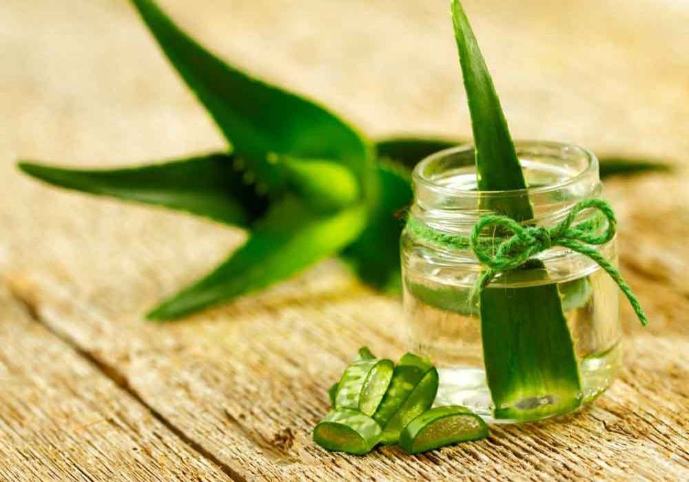 Aloe Vera Benefits for your Health and Body