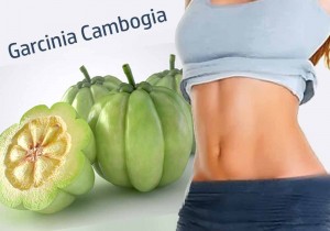 Garcinia Cambogia