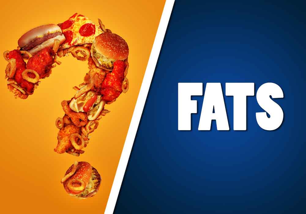 Sources of Healthy Fats That You Should Include In your Diet