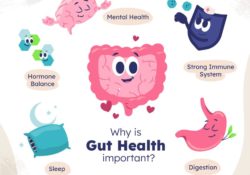 Improve Gut Health