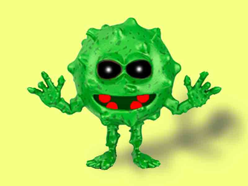 Hidden Germs in the House