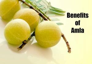 Amla for Hair Care