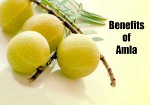Indian Gooseberry | How to use Amla for Hair Care?