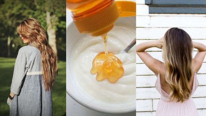 6 Homemade Hair Conditioners to Repair Damaged Hair!