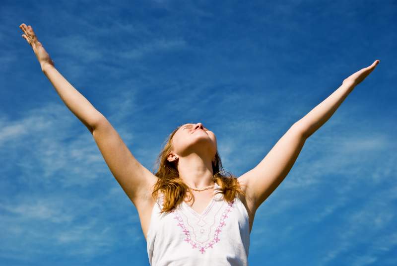 Natural Air Purifier Alternatives to Purify Air at Home