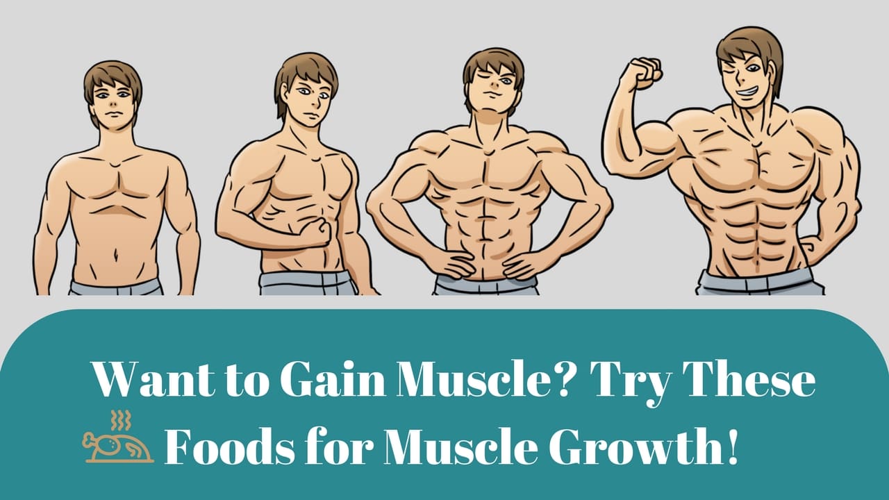 Want to Gain Muscle? Try These Foods for Muscle Growth!
