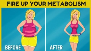 Metabolic Rate